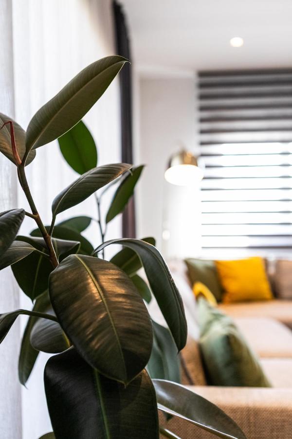 אלכסנדרופולי Aegli Central Luxury Apartment מראה חיצוני תמונה